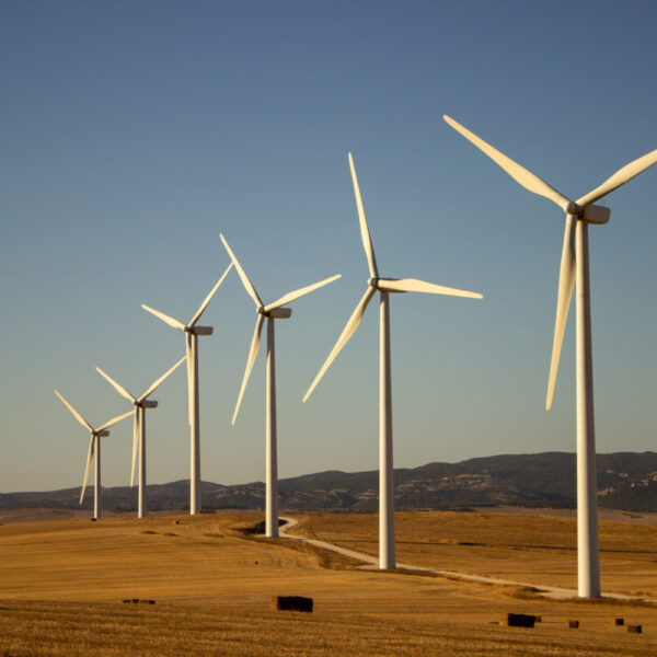 utility-scale-wind